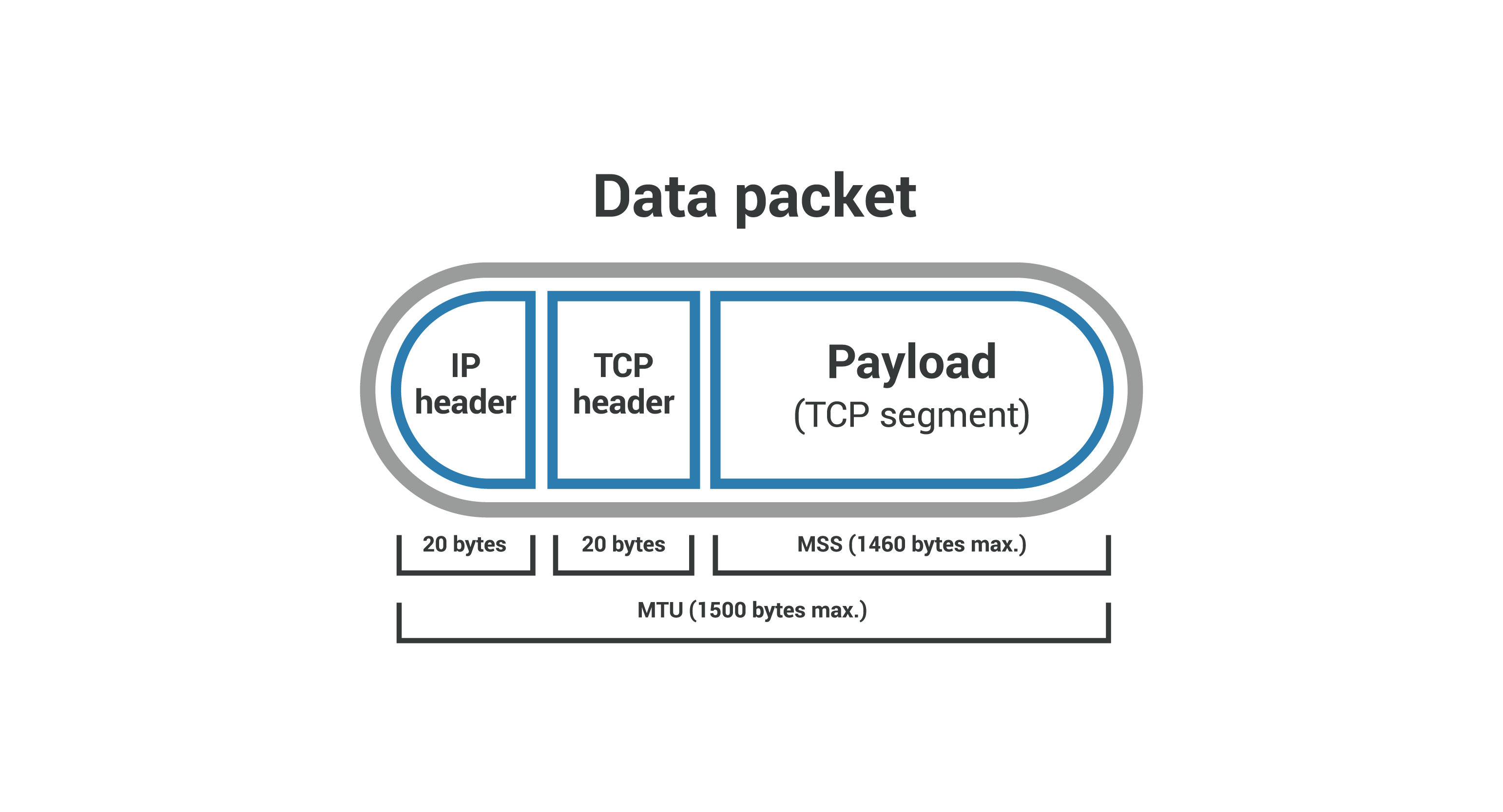 Intestazioni e payload dei pacchetti dati - Segmento TCP e MSS